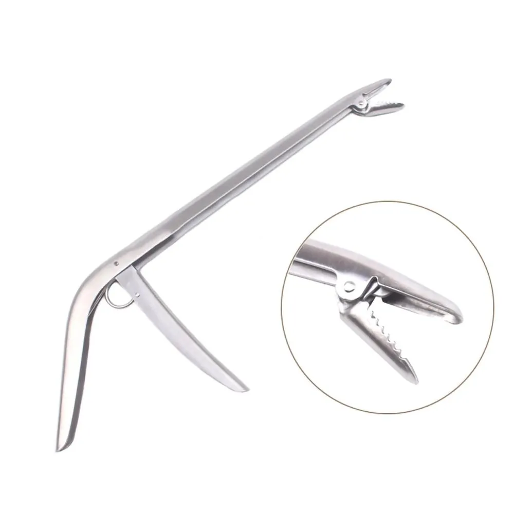 SANLIKE Stainless Steel Fishin - đánh giá và giá Fishing Hook Stainless Steel