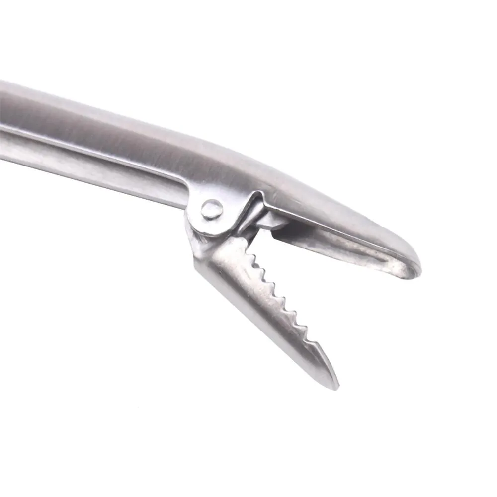 SANLIKE Stainless Steel Fishin - đánh giá và giá Fishing Hook Stainless Steel